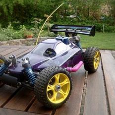 Buggy G.V.M <-> Rex-X