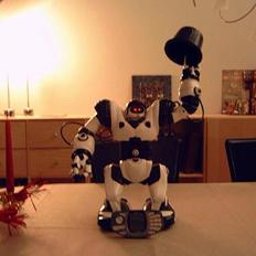 Robot Robosapien