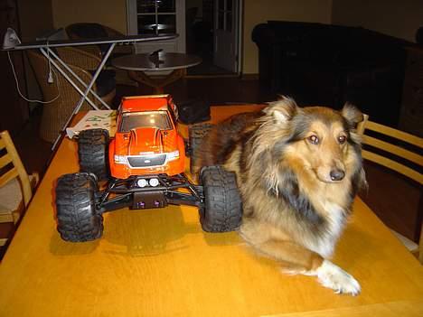 Off-Roader Savage 25 billede 6