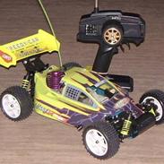 Buggy winner sport