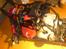 Buggy FG Baja SOLGT