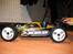 Buggy  Xray XB8 EC 