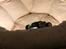 Buggy Team Losi Micro-T