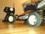 Buggy xti