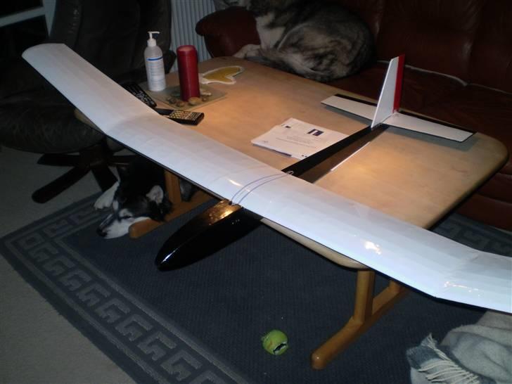 Fly Blue Phoenix billede 1