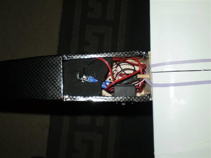 Fly Blue Phoenix billede 3