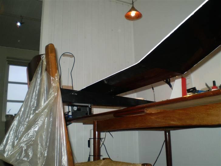 Fly Blue Phoenix billede 6