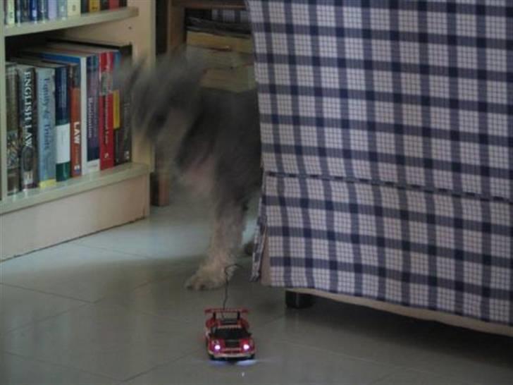 Bil Mini-z *SOLGT* billede 6