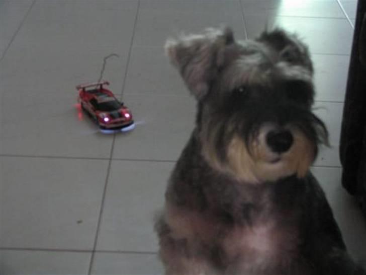 Bil Mini-z *SOLGT* billede 7