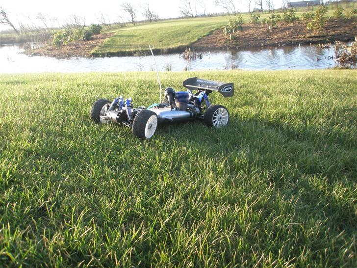 Buggy Inferno 7,5 sport (solg) billede 8