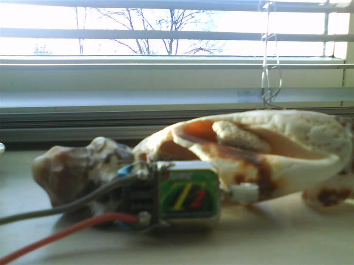 Bil mini-z billede 2