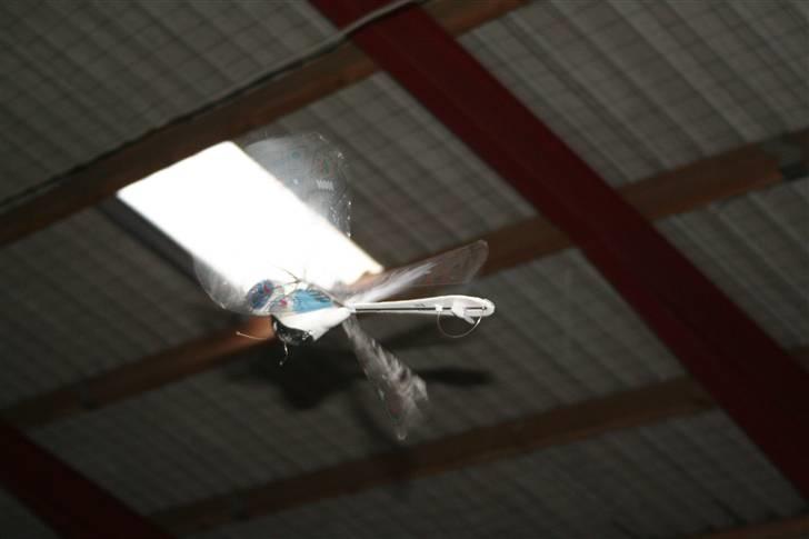 Helikopter flytech drangon fly billede 3