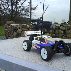 Buggy Kyosho Mini Inferno