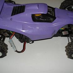 Buggy Nikko Dictator