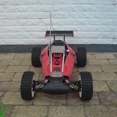 Buggy Fg Baja 