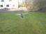 Helikopter king 2