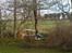 Helikopter king 2