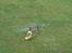Helikopter falcon 3D
