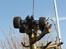 Bil RC18MT standard