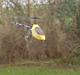 Helikopter falcon 3D