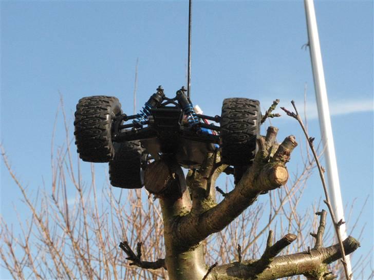 Bil RC18MT standard billede 15