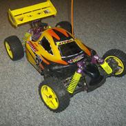 Buggy Buggy atomic SOLGT     