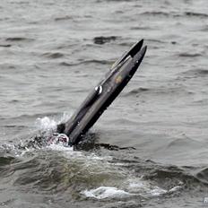 Båd  Magic Carbon   R.I.P