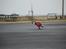 Buggy Fg Baja / Beetle--SOLGT--