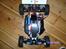 Buggy Lund's Turmoil Pro