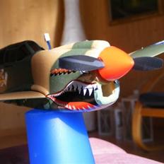 Fly COX Wings P-40 Warhawk 