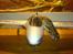 Fly X-plane