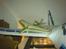 Fly X-plane