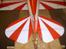 Fly Pitts special.