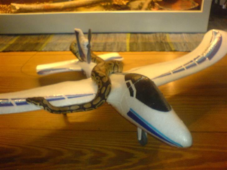 Fly X-plane billede 1