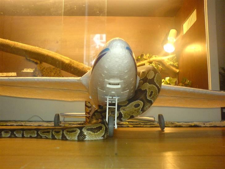 Fly X-plane billede 4