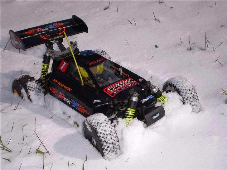 Buggy Rex-x(død) billede 1