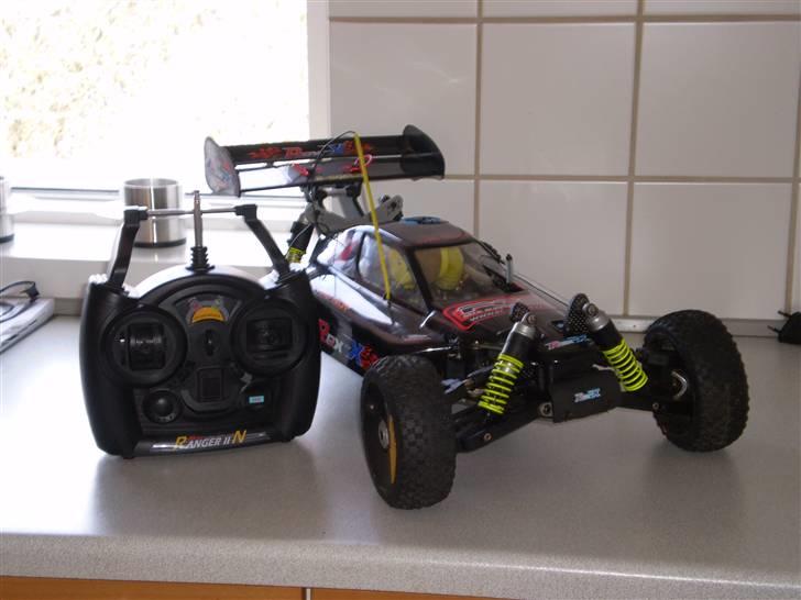 Buggy Rex-x(død) billede 2