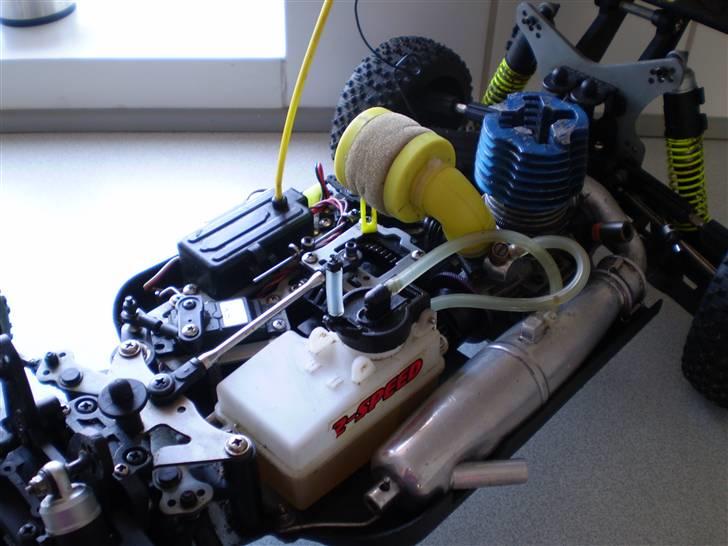 Buggy Rex-x(død) billede 3