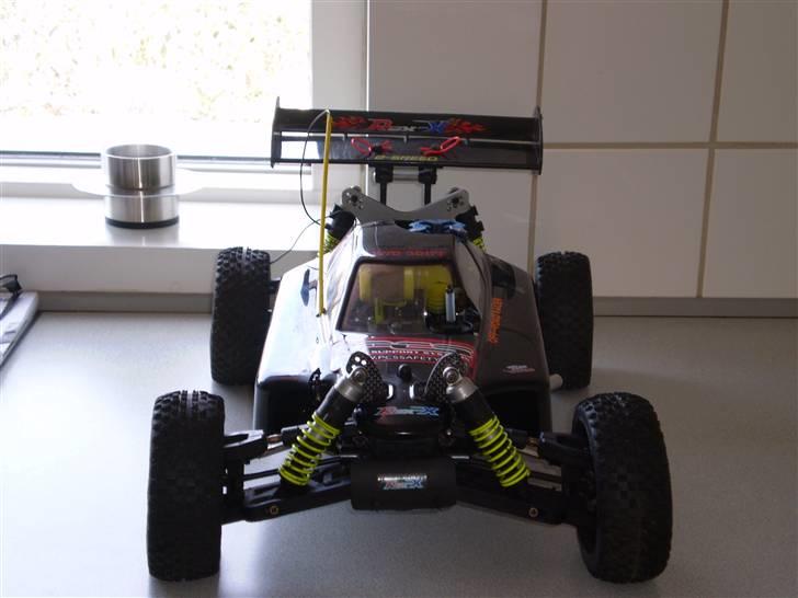 Buggy Rex-x(død) billede 5