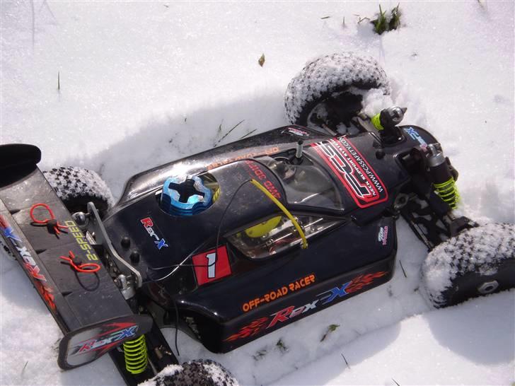 Buggy Rex-x(død) billede 6