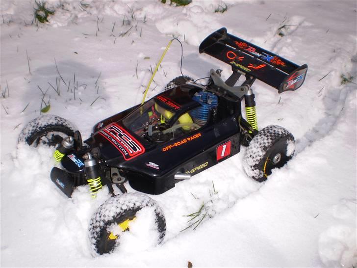 Buggy Rex-x(død) billede 7