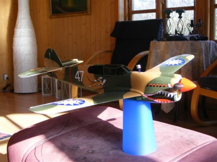 Fly COX Wings P-40 Warhawk  billede 2