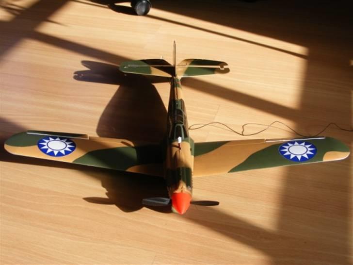 Fly COX Wings P-40 Warhawk  billede 4