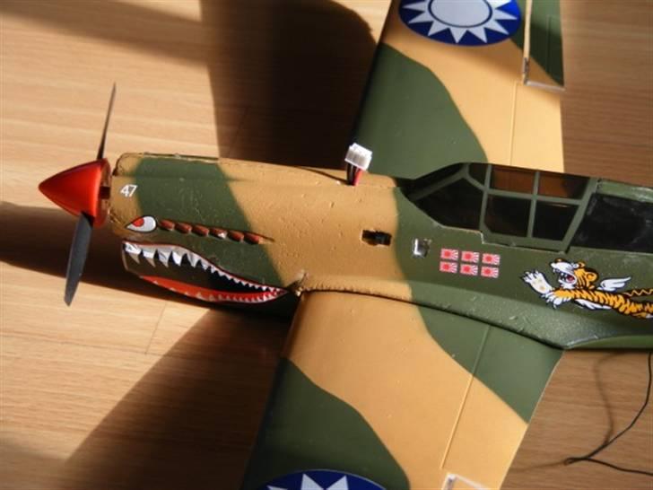Fly COX Wings P-40 Warhawk  billede 5