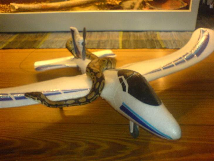Fly X-plane billede 1