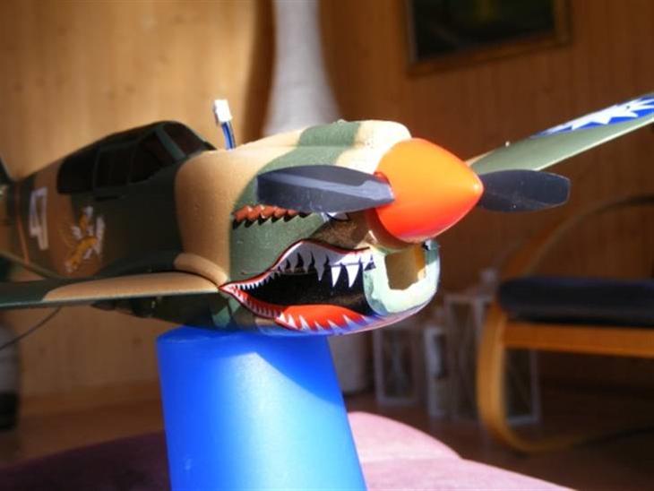 Fly COX Wings P-40 Warhawk  billede 1