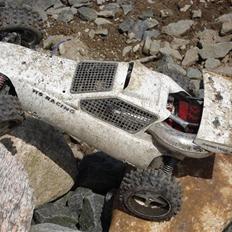 Buggy FG Marder  SOLGT