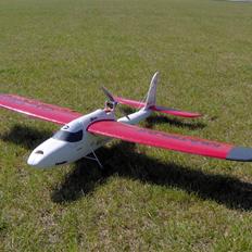 Fly Multiplex Easystar