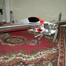 Fly Tribute, *opstået igen* og DØD