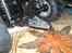 Truck tamiya midnight pumpkin